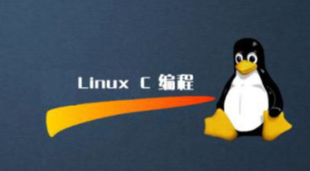 linux C/C++编程全套教程一码农有道-小白自学交流社区