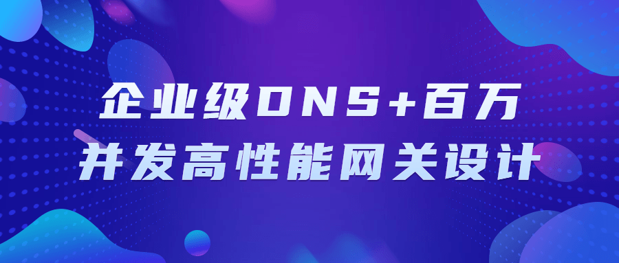 企业级DNS+百万并发高性能网关设计-小白自学交流社区